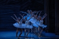 St Petersbourgballet (25)